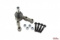 Spindelled Amazon, P1800 Spindelled Amazon, P1800