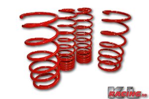 BMW E46  sedan/cupé 320i/330i/318Tds i gruppen Modellanpassat / BMW / 3-Serie / E46 (1998-2005) / Stötdämpare / Fjädrar / Sänkningsfjädrar hos KL Racing AB (03977)