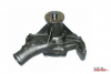Vattenpump V6/V8 262-350''  87-92 (Truck-96)
