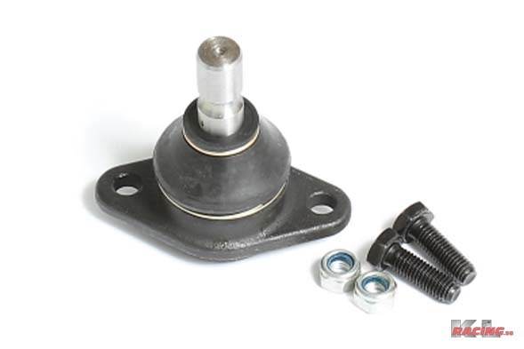 Spindelled Amazon, P1800 65-