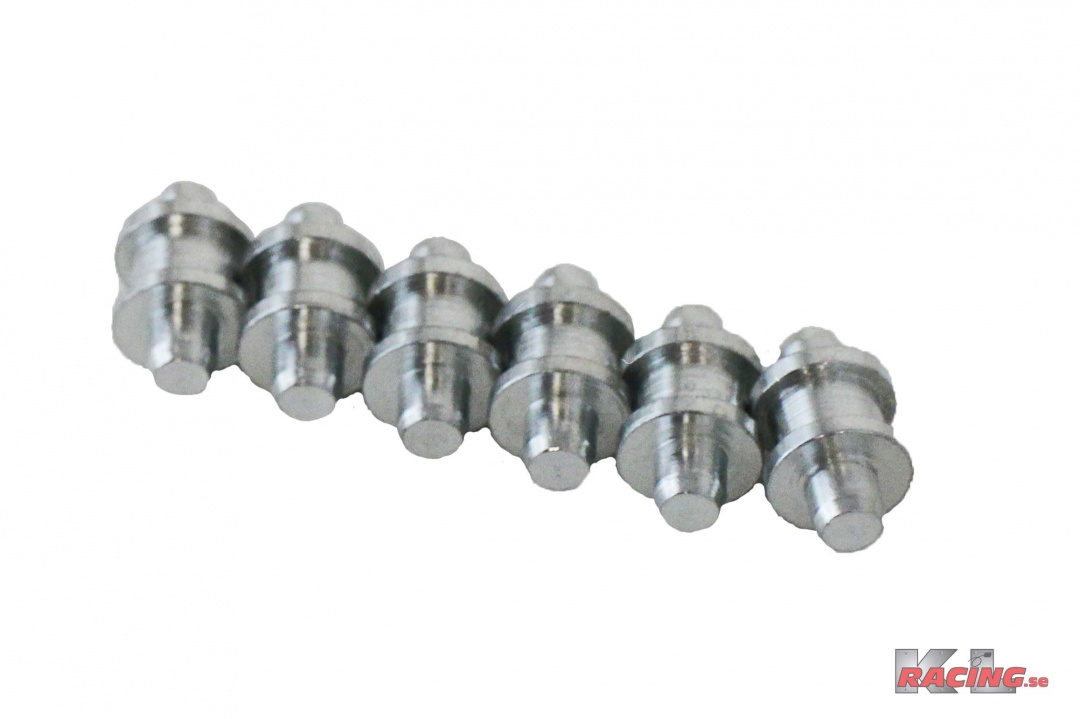 Nit till Fjädrad sinter