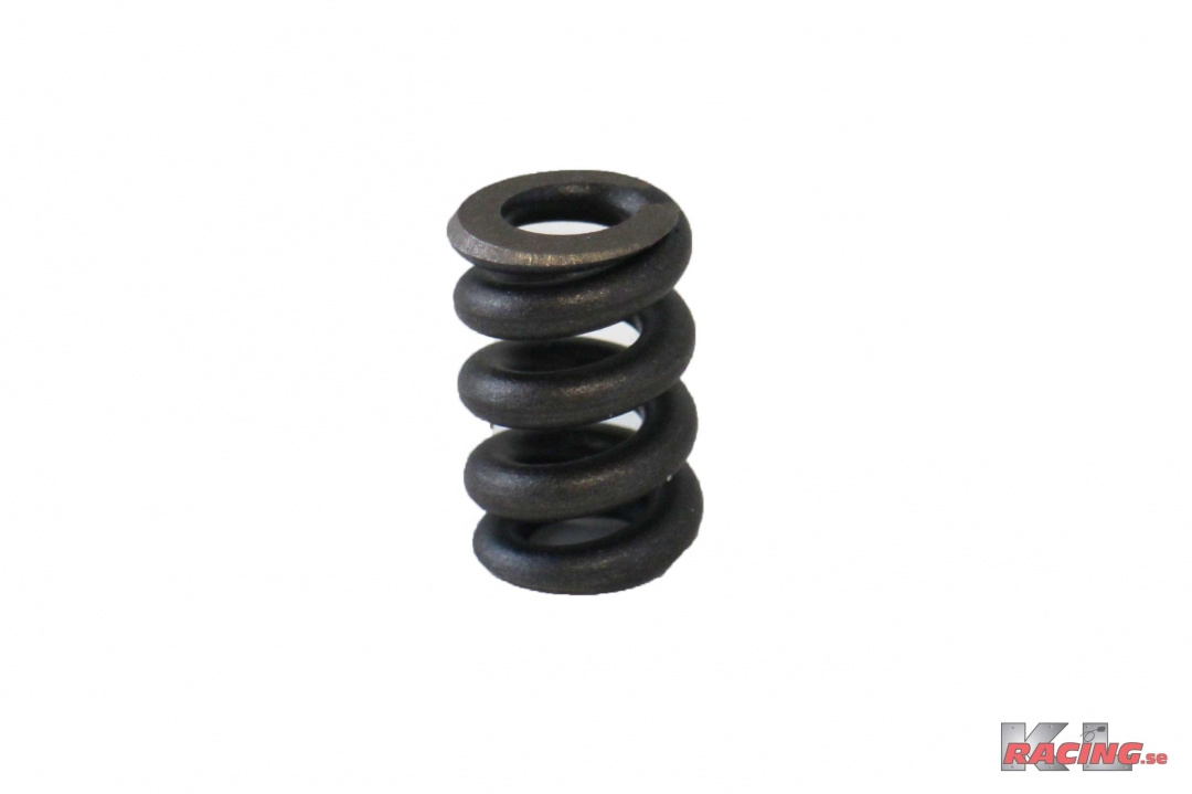 Fjäder till Fjädrad sinter