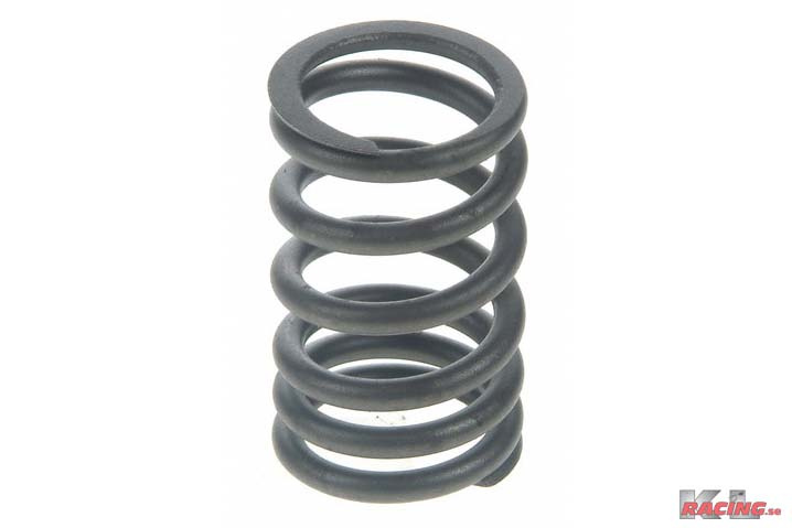 Ventilfjäder V8 262-400'' 69~96