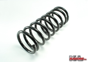 Fjäder Amazon, Sedan