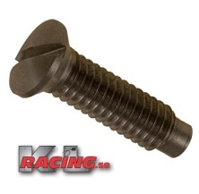 Skruv för strålkastarsarg Amazon, Pv, Duett