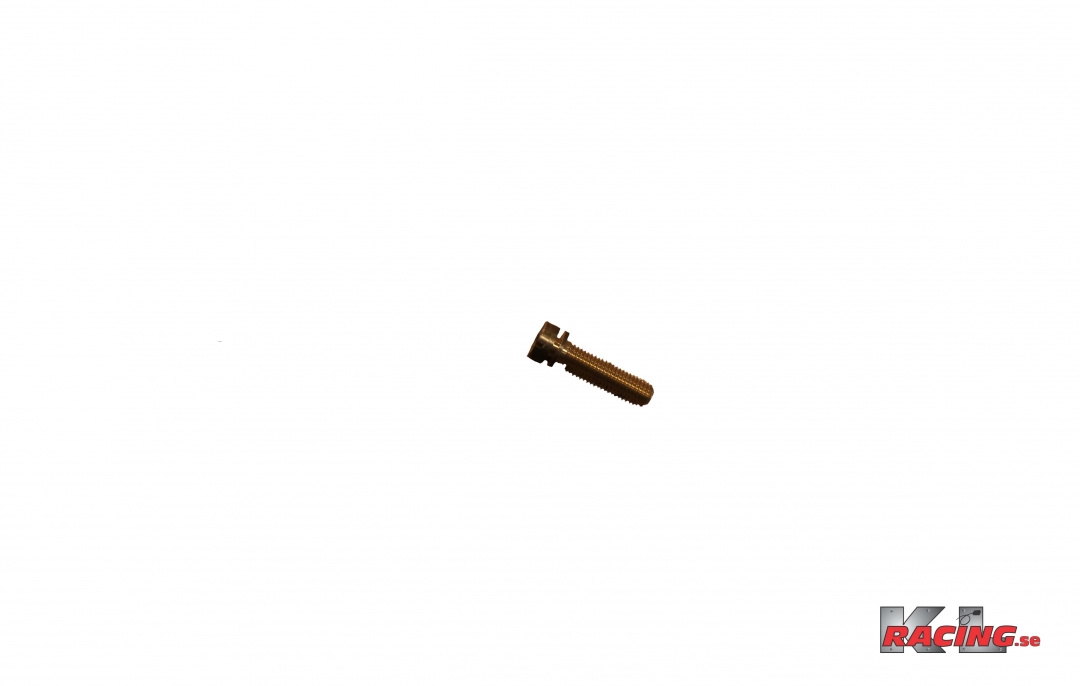 Justerskruv Strålkastarhus-kåpa Amazon, Pv, Duett