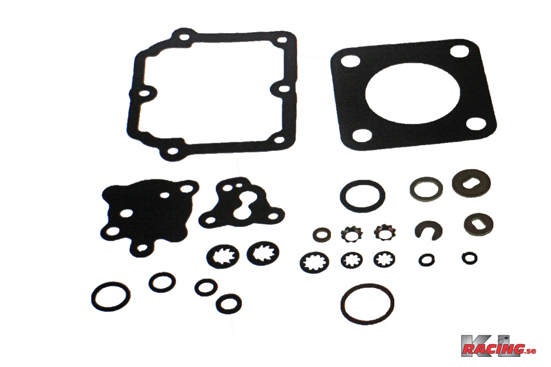 Packningssats Förgasare CD175 med o-ringar
