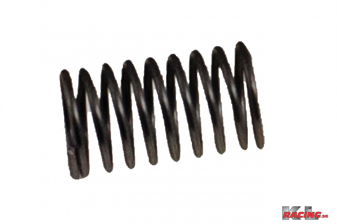 Fjäder Bränslenål B20B