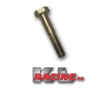 Skruv dörrgångjärn P1800